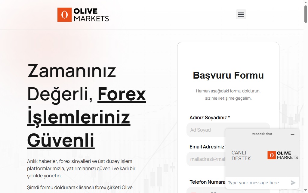 Olive Markets Review – Important Insights Before You Invest in Olive Markets.com