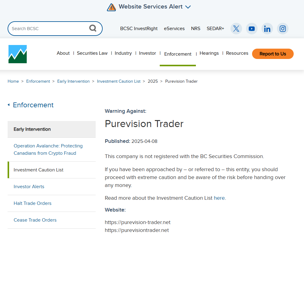 Purevision Trader Review – Important Insights Before You Invest in Purevision Trader.com 2