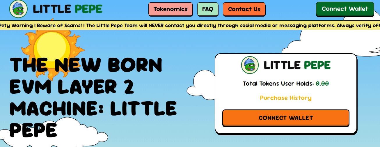 Little Pepe Review – Important Insights Before You Invest in Littlepepe.com