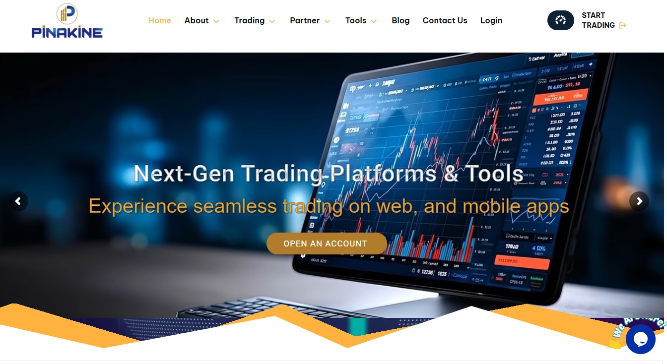 PINAKINE Review – Important Insights Before You Invest in pinakineliquidity.com