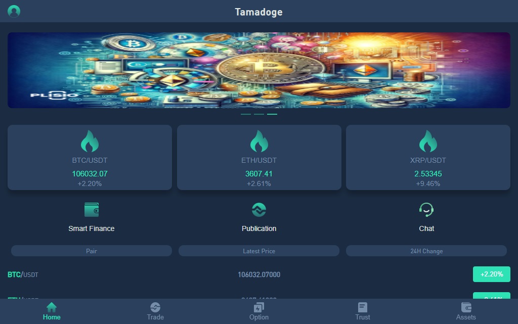 Tamadoge.vip Review – Important Insights Before You Invest in Tamadoge.vip